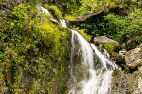 One of the many waterfalls on a Boquete road