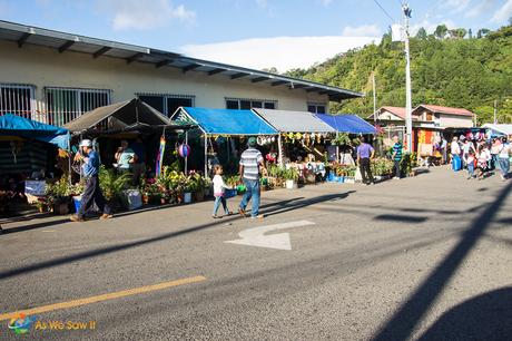 Tents offering wares during the festival