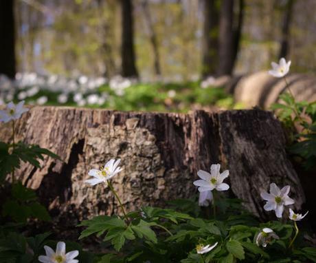 May 2016 [Month in Photos]