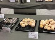 Coffee Break European Obesity Summit