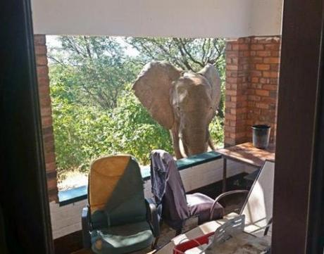 Ben recuperates at the lodge (photo by Bumi Hills Foundation)