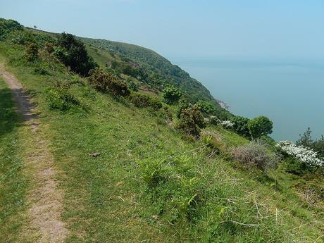 Blue Anchor to Porlock Weir (Part 1)