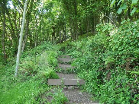 Blue Anchor to Porlock Weir (Part 1)