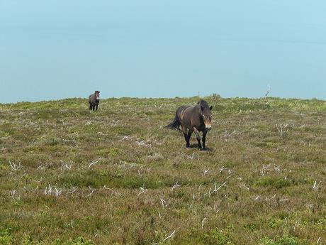 Blue Anchor to Porlock Weir (Part 1)