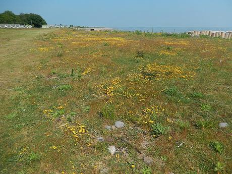 Blue Anchor to Porlock Weir (Part 1)