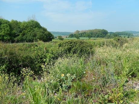 Blue Anchor to Porlock Weir (Part 1)