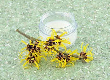 Witch Hazel: How to get rid of Genital Warts