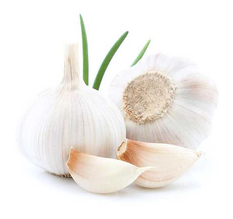 Garlic for Yeast Infection