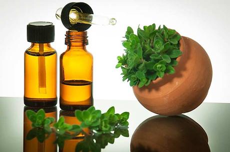 oil of oregano for yeast infection