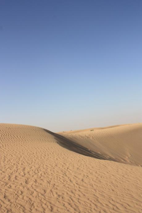 Taken in the desert outside Dubai in May of 2016