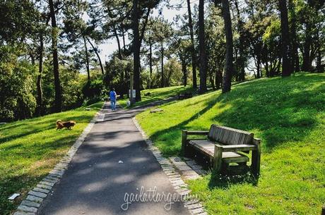 Parque da Pasteleira, Porto