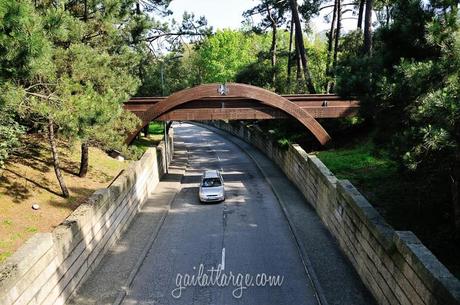 Parque da Pasteleira, Porto