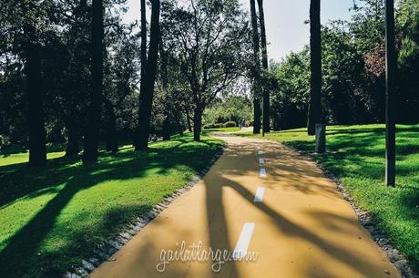 Parque da Pasteleira, Porto