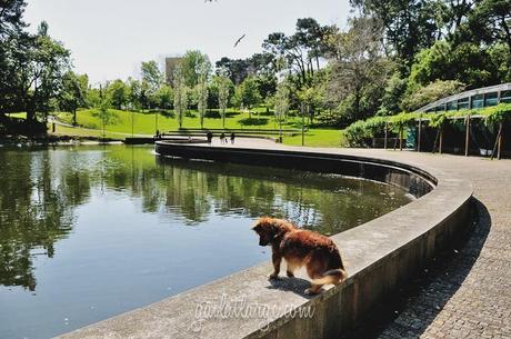 Parque da Pasteleira, Porto