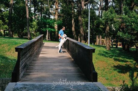 Parque da Pasteleira, Porto