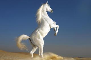 Dear Mormon Voters of the American West: Maybe You're the White Horse We've Been Waiting For