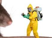 Make Your Home Unattractive Pests?