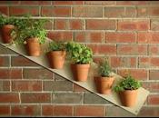 Build Easy Vertical Garden with This Video Tutorial