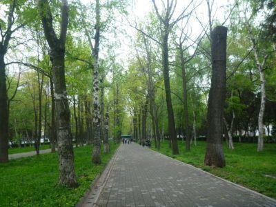 Backpacking in Kyrgyzstan: My Top 20 Sights in Bishkek Erkindik Park