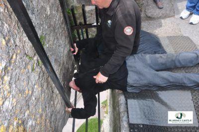 Kissing the Blarney Stone in County Cork, Republic of Ireland Kissing the Blarney Stone in County Cork, Republic of Ireland