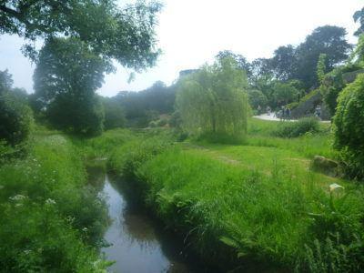 Kissing the Blarney Stone in County Cork, Republic of Ireland A river at Blarney Castle and Gardens