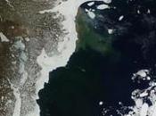 Arctic Breaks Record Climate Central