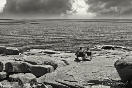 Hour of the Land, Terry Tempest Williams, book, national park, exhibit, EUQINOMprojects, Acadia National Park, overlook