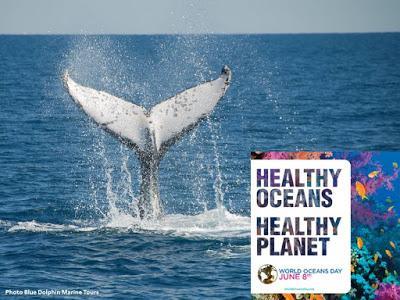 #WorldOceansDay: Take the #BetterBagChallenge to help save the #oceans