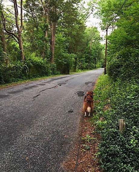 Country Living In New Jersey!