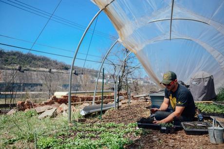 Hazelwood Urban Farms Season 2 | Spring Seedling Update // www.WithTheGrains.com