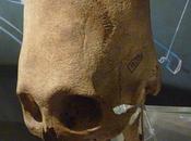 Valdemar Januszczac Dark Ages Light