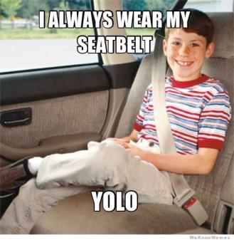 seatbelt