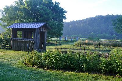 More Postcards . . .Sunrise in the Folk School Garden