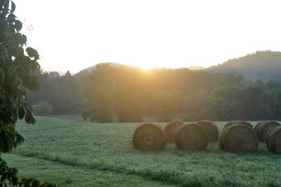 More Postcards . . .Sunrise in the Folk School Garden