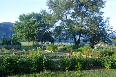 More Postcards . . .Sunrise in the Folk School Garden