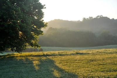 More Postcards . . .Sunrise in the Folk School Garden