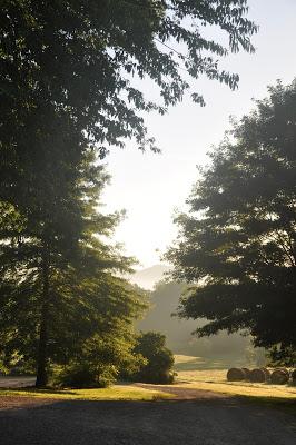 More Postcards . . .Sunrise in the Folk School Garden