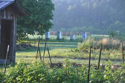 More Postcards . . .Sunrise in the Folk School Garden