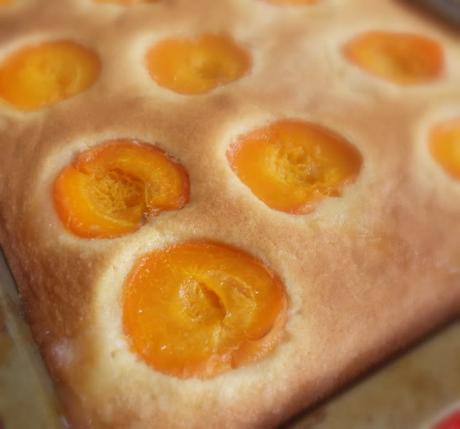 Apricot Sheet Cake