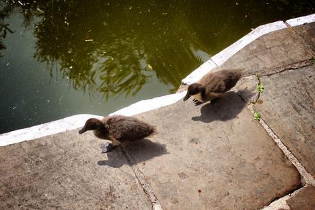 In & Around #London… Sunny #Kensington