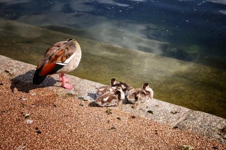 In & Around #London… Sunny #Kensington