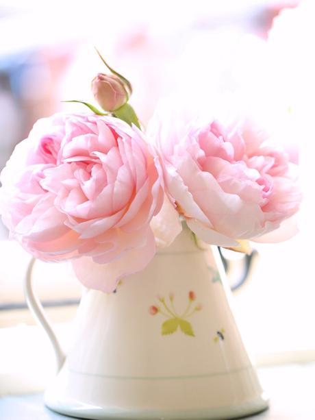 In A Vase On Monday – Gentle Hermione