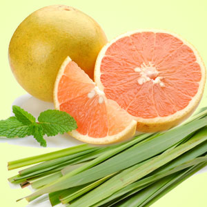 Grapefruit Lemongrass Energize Fragrance Oil