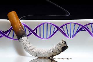 Nicotine Genes: Evidence From a 40-Year Study