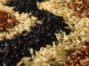 Health Benefits Different Kinds Rice