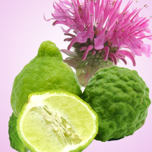 Gingered Bergamot Fragrance Oil