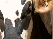 Climate Impacts From Farming Getting Worse Central