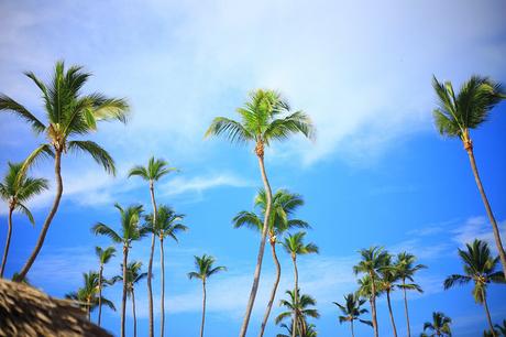 Eat. Sleep. Beach. Repeat!
