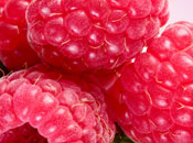 Fresh Raspberry Fragrance