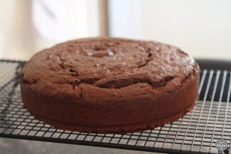 Anti-Gravity M&Ms Peanut Butter Chocolate Cake Anti-Gravity M&Ms Peanut Butter Chocolate Cake